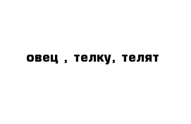 овец , телку, телят